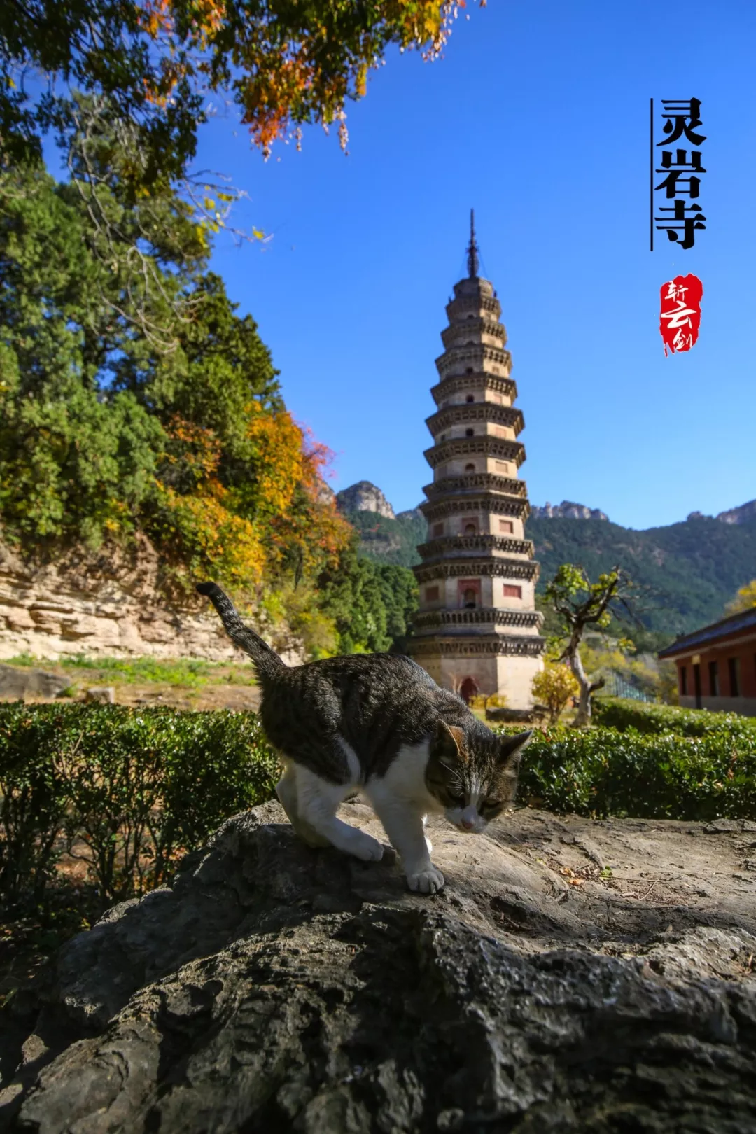 古刹名寺灵岩寺里的一座辟支塔迷醉了千年的光阴