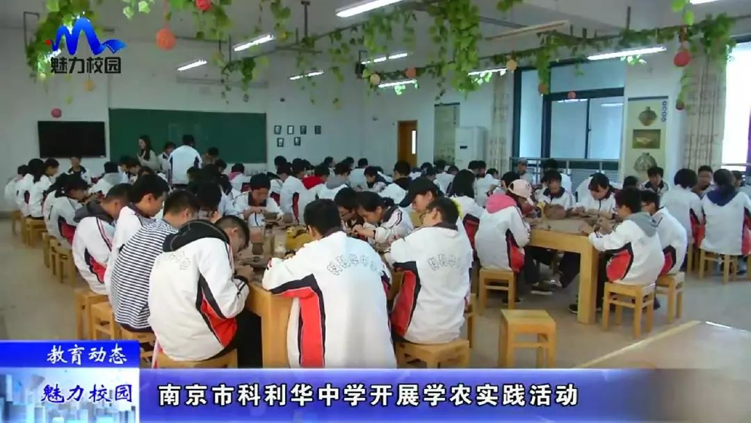 【教育动态】南京市科利华中学开展学农实践活动