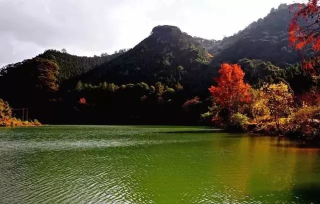 逢周末出发▏赏最美的景品最浓的秋南雄帽子峰的金黄银杏与你有个美丽