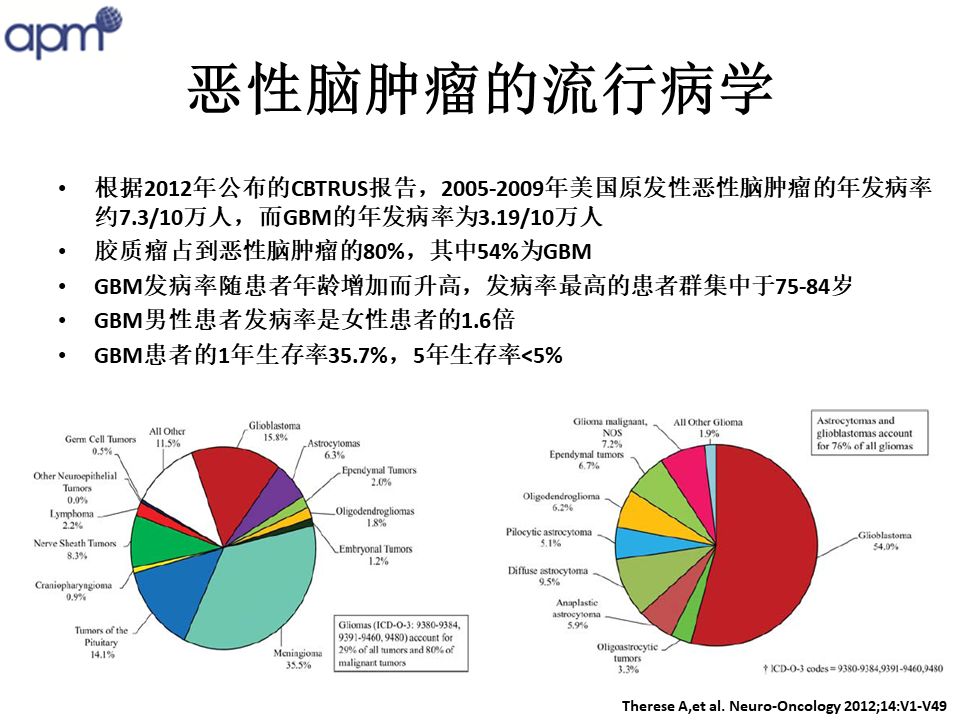 脑肿瘤gdp(3)