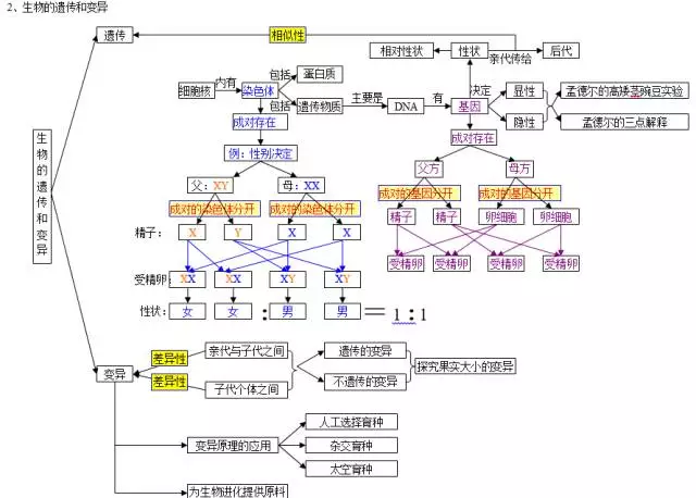 初中生物知识思维导图,10个专题扫清初中三年知识点!