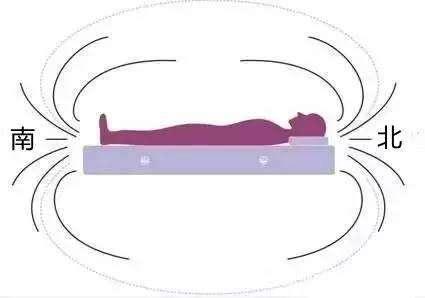 睡姿也会导致失眠 头北脚南 重视子午时睡眠!_人体