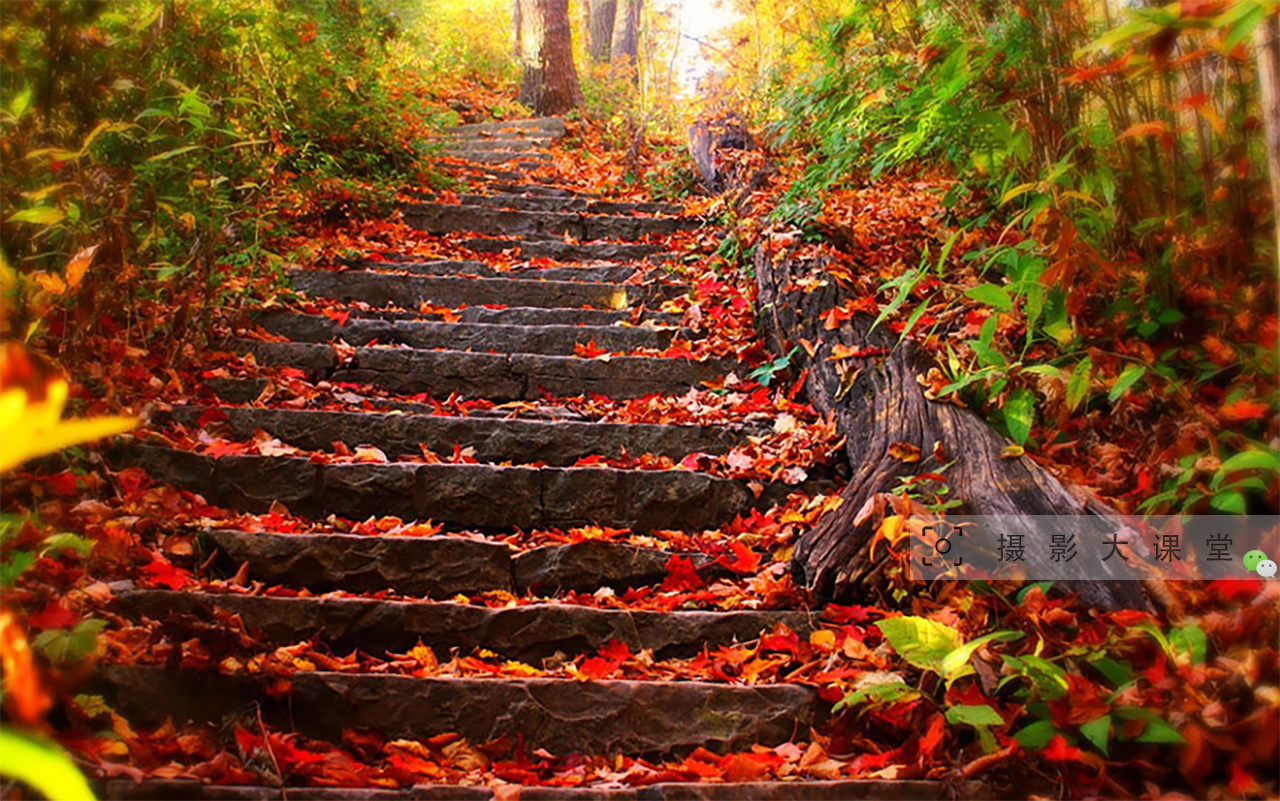 摄影师镜头下的秋天,五彩缤纷,就像童话里的世界
