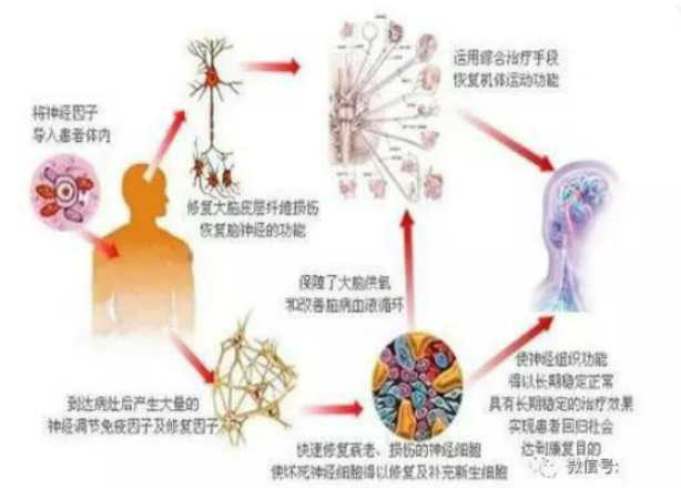 阳萎的原理_补肾壮阳知识中医的一种治疗方法,中医里边   虚则补之,实则泻之   ,所以说,补肾壮(2)