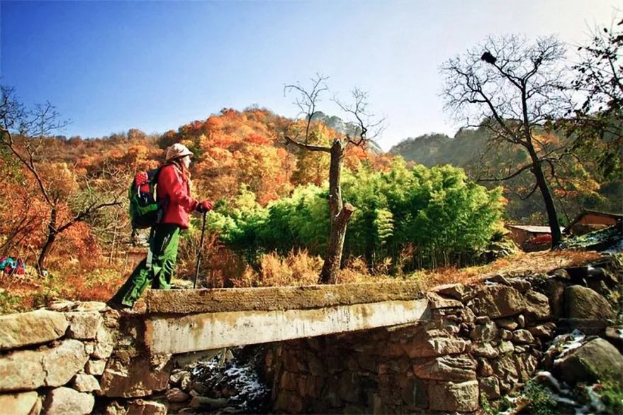 红叶,柿子,古村.西安周边这8个地方的秋景,个个醉人!