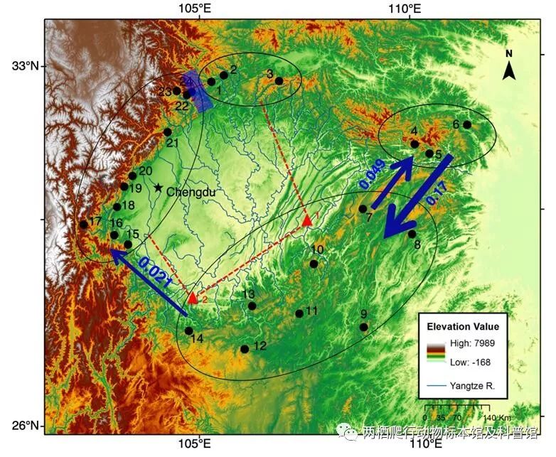 两栖爬行动物研究室揭示四川盆地对绿臭蛙多样性格局形成和维持的环形