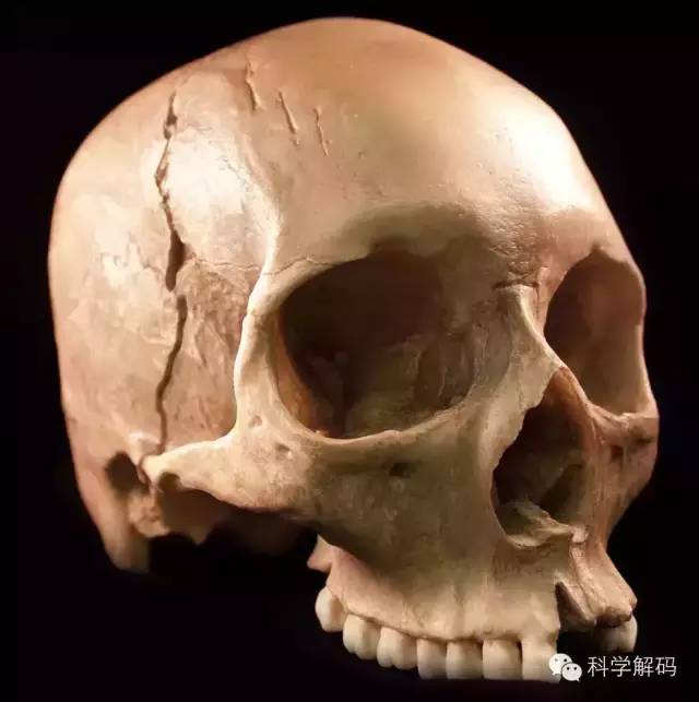 今日趣味|人死后多次时间变骨架?如果不是火化!