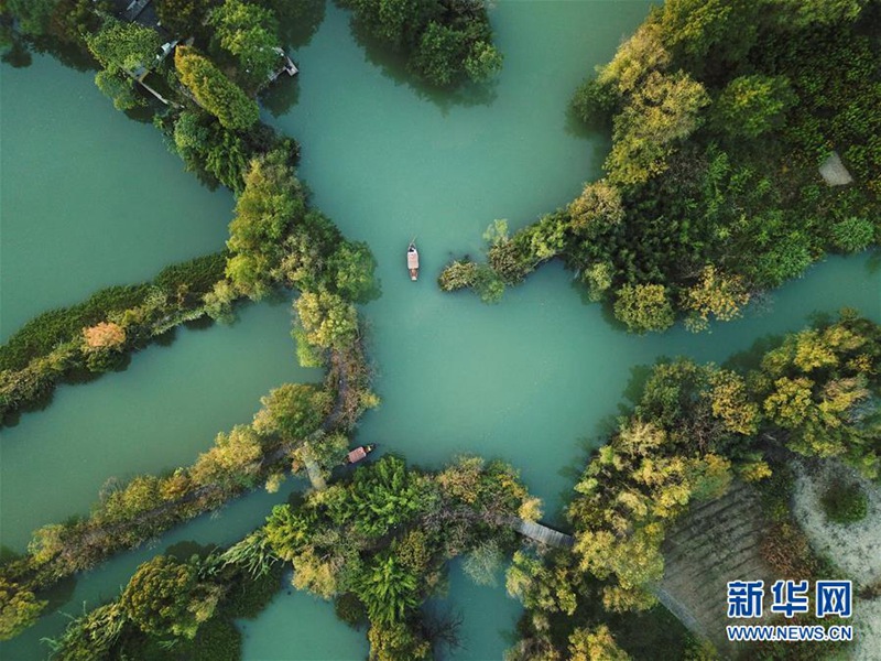 10月29日,游船行驶在西溪湿地河道上(无人机拍摄.