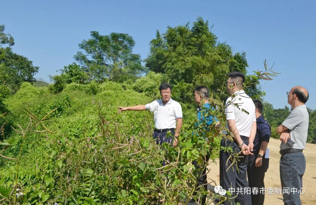 阳春河口镇人口_阳春三月图片(2)