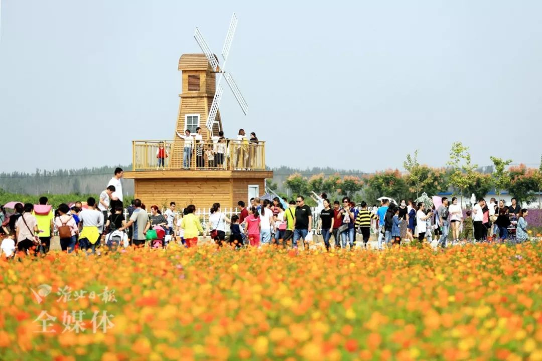 近年来,高岳街道在产业扶贫过程中,采取"基地 农户"的经营模式,因地