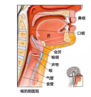 耳鼻咽喉科副主任林志宏专家团队在全麻下为唐老师实施了经口内镜下