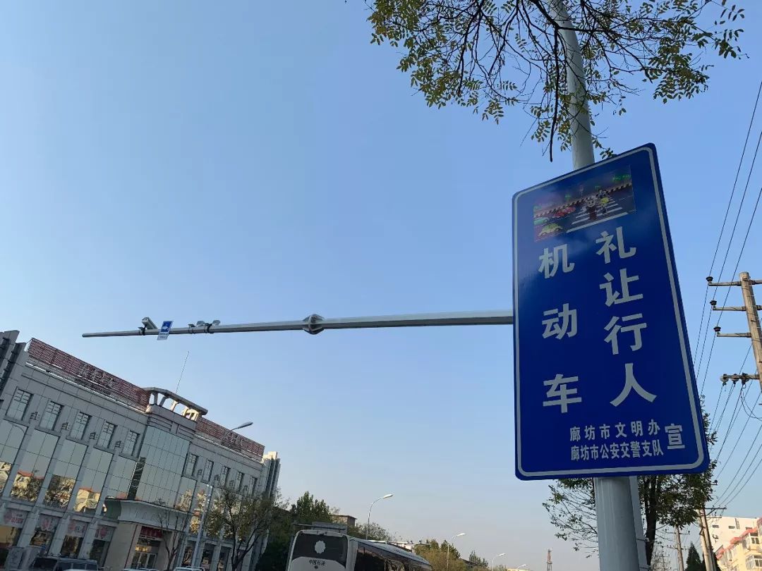 市区9个路口增装电子抓拍设备,专拍不礼让行人!