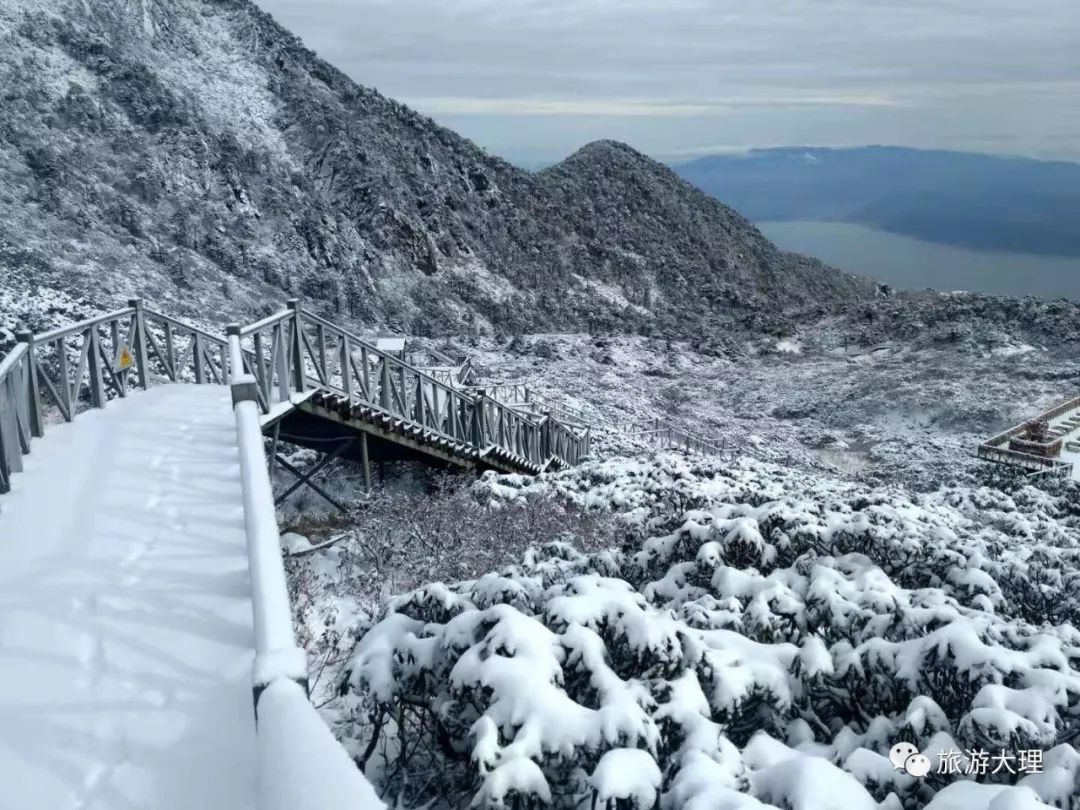 官宣大理下雪啦坐洗马潭索道来赏今秋第一场雪图视频