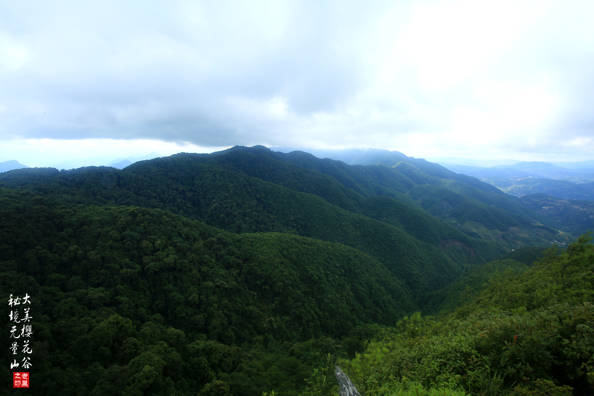 金庸先生《天龙八部》中的无量山,还有你不知道的美食