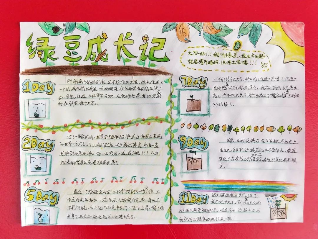 第一次搞创意节的博文小学,解开了多少小奥秘