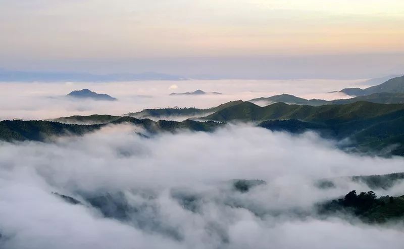 賞深秋紅楓 不用去加拿大 359丫山偶遇雲海 玻璃橋踩上森林葉尖 推窗見紅葉 泡澡望竹海 雪花新闻