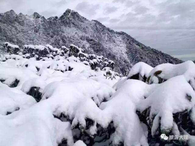 云南这几座大山下雪啦 漫山遍野银装素裹美不胜收