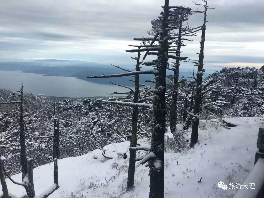 官宣大理下雪啦坐洗马潭索道来赏今秋第一场雪图视频