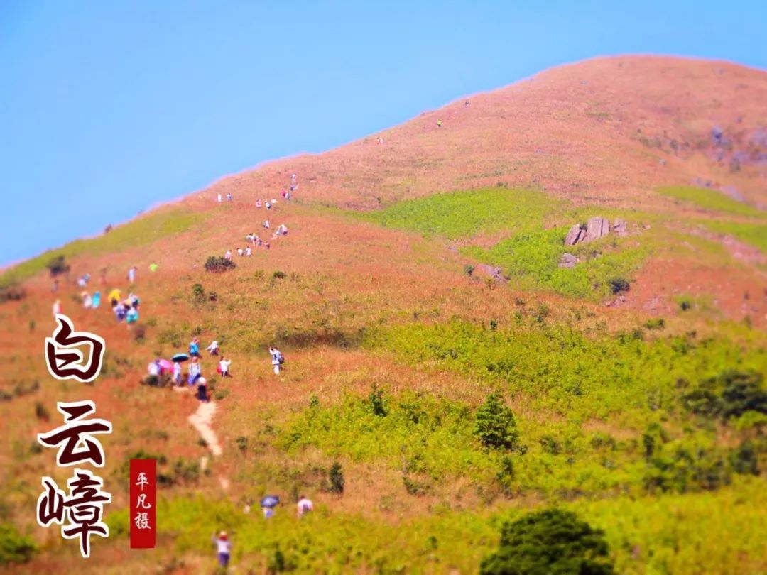 11月4日惠州白云嶂赏满山芦苇荡,登东莞第一高峰银瓶嘴俯瞰东莞