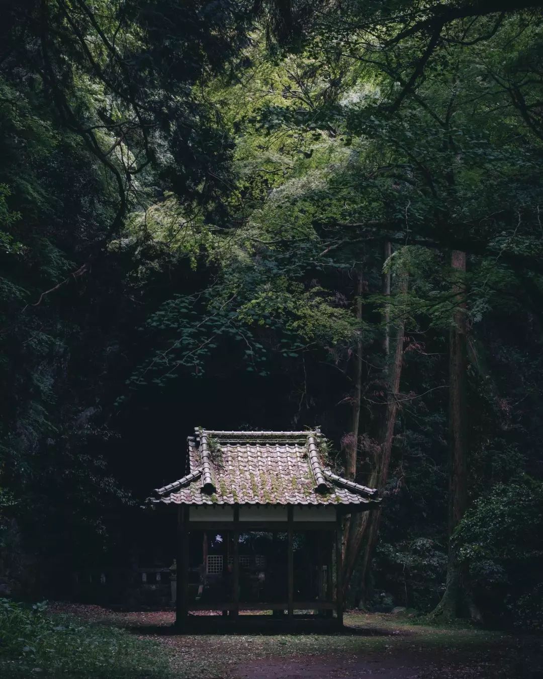 摄影师保井崇志镜头里的日本