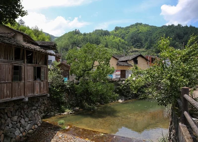 丽水乡村纪行|云和店子村,一片藏在深山中的悠然山水