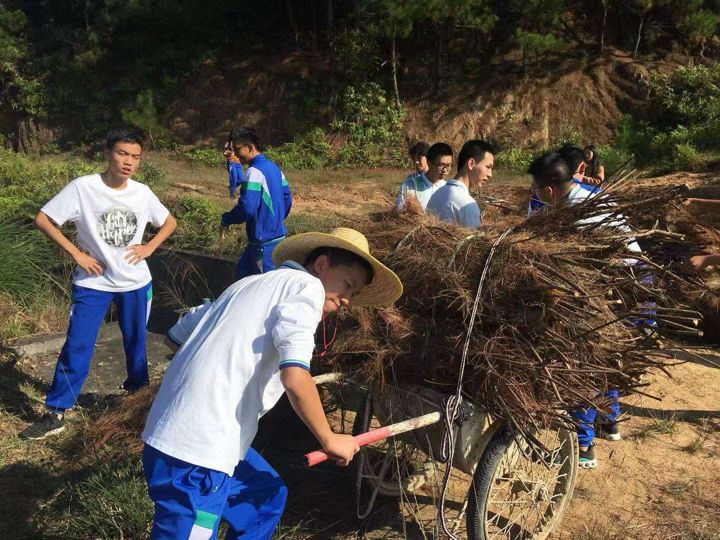 华附南海实验高中高二17班学农劳动感想学农第二天