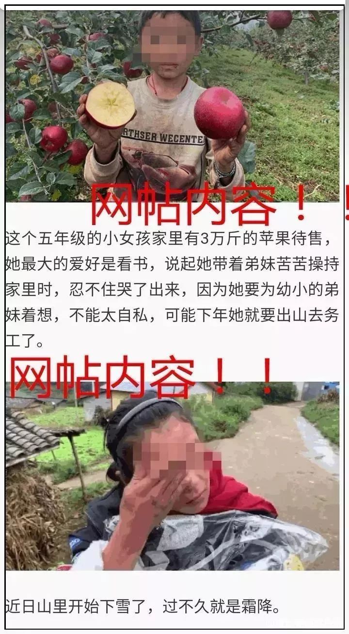 女生失踪被挖器官?一家四口吃猪肉身亡?这些全部是谣言!