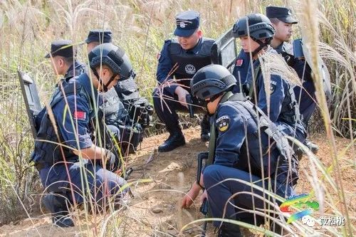 松桃特警开展山地丛林作战演练活动