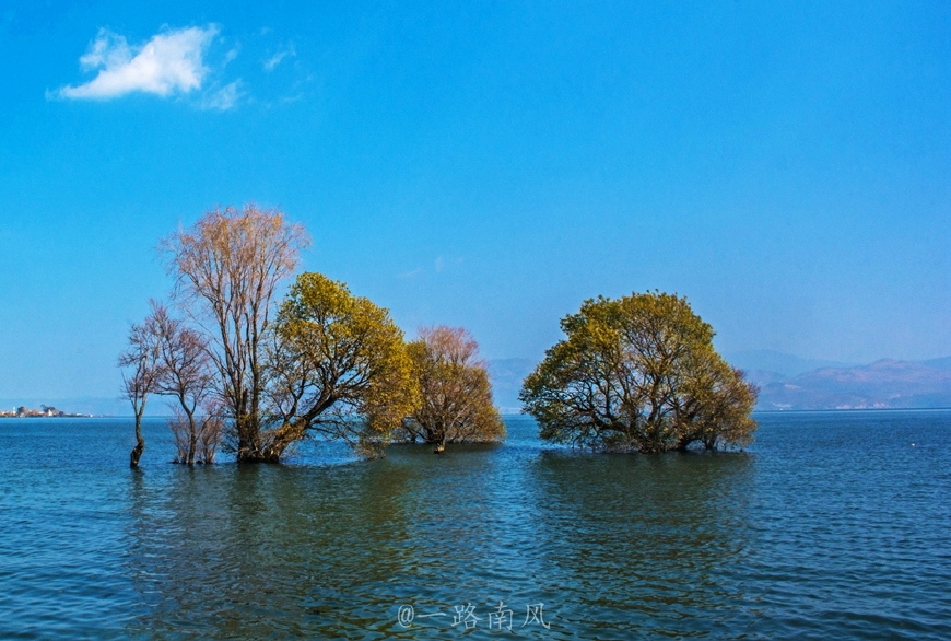 洱海是个湖,面积辽阔.环洱海游览,随意便可以遇见美景.看!