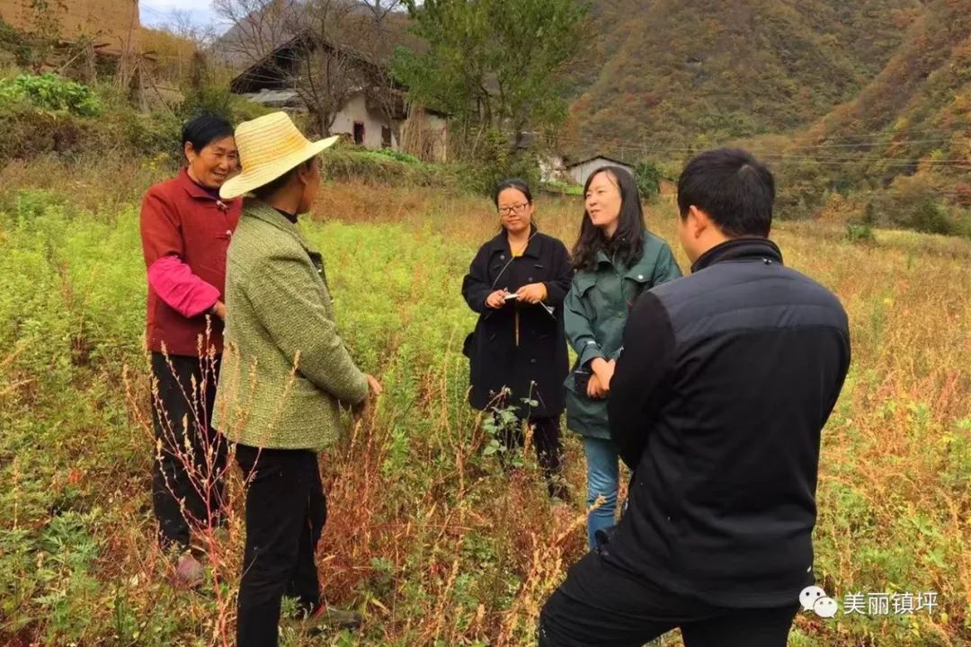 镇坪县有多少人口_镇坪山村人家买一头猪过年 做成腊肉吃一年