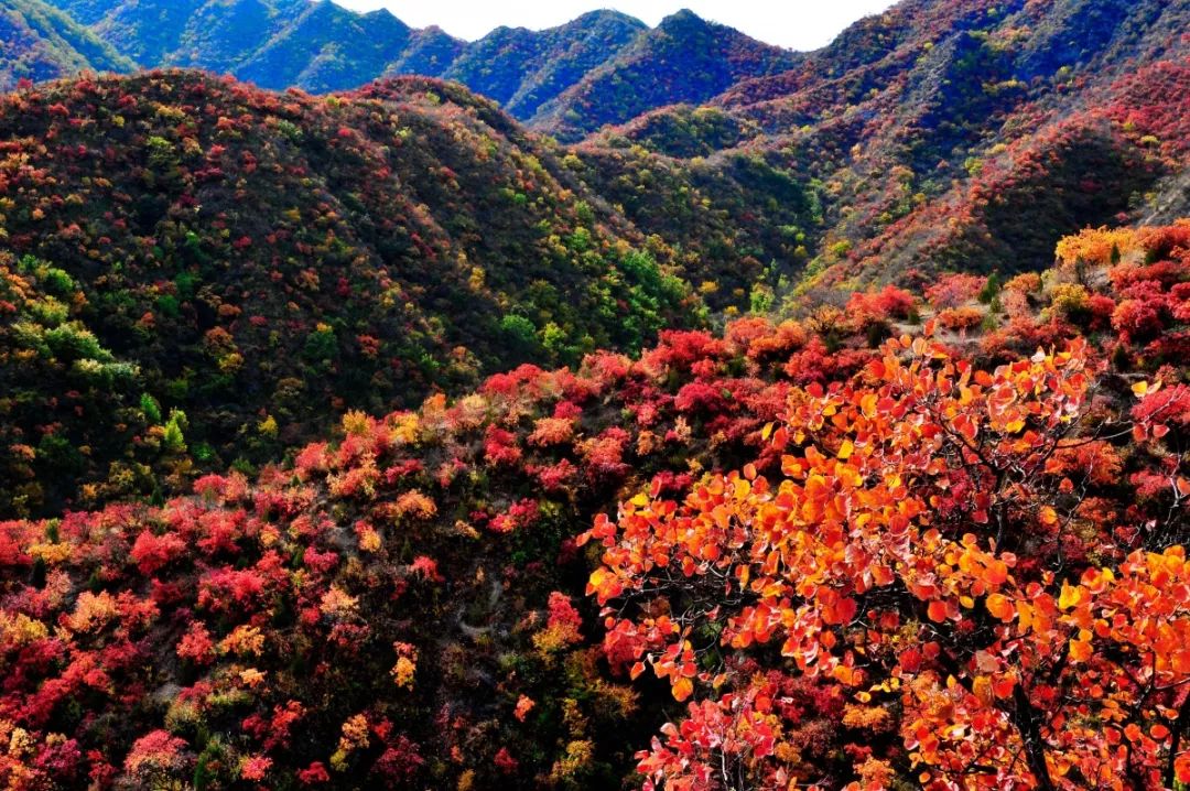 百花山的景色尽收眼前 "我们这儿是去百花山的必经之地,到百花山景区