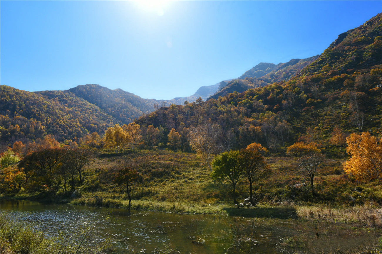 大山深处有一片秋色,深秋时节仍色彩绚烂风景如画