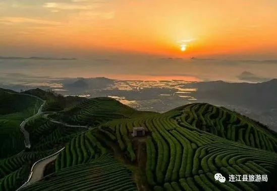 一部电影《失孤》使得"藏在深闺无人识"的长龙茶山名声大噪,连刘德华