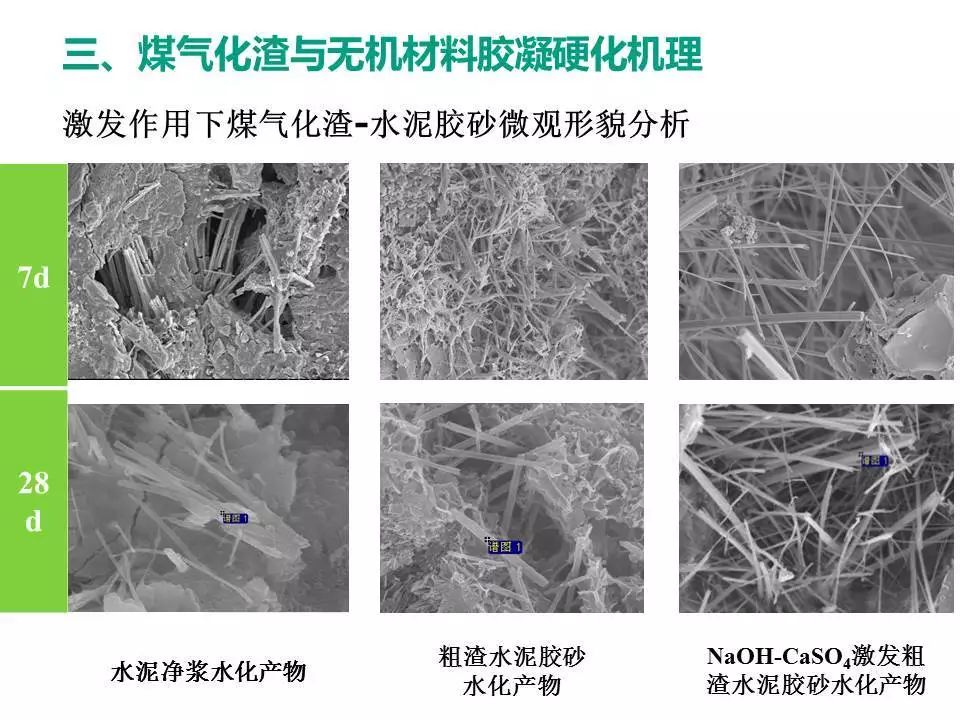 专家报告煤气化渣应用研究进展