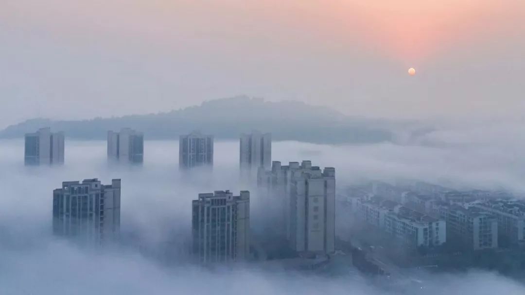 最近遂宁大雾天气频发,这些事情你得注意!