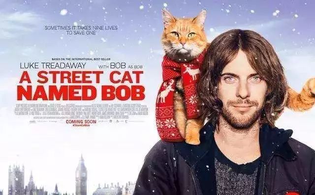 【觀影福利第一彈】一人一貓走倫敦 電影《流浪貓鮑勃》吸貓暖心電影11月2日治愈來襲~