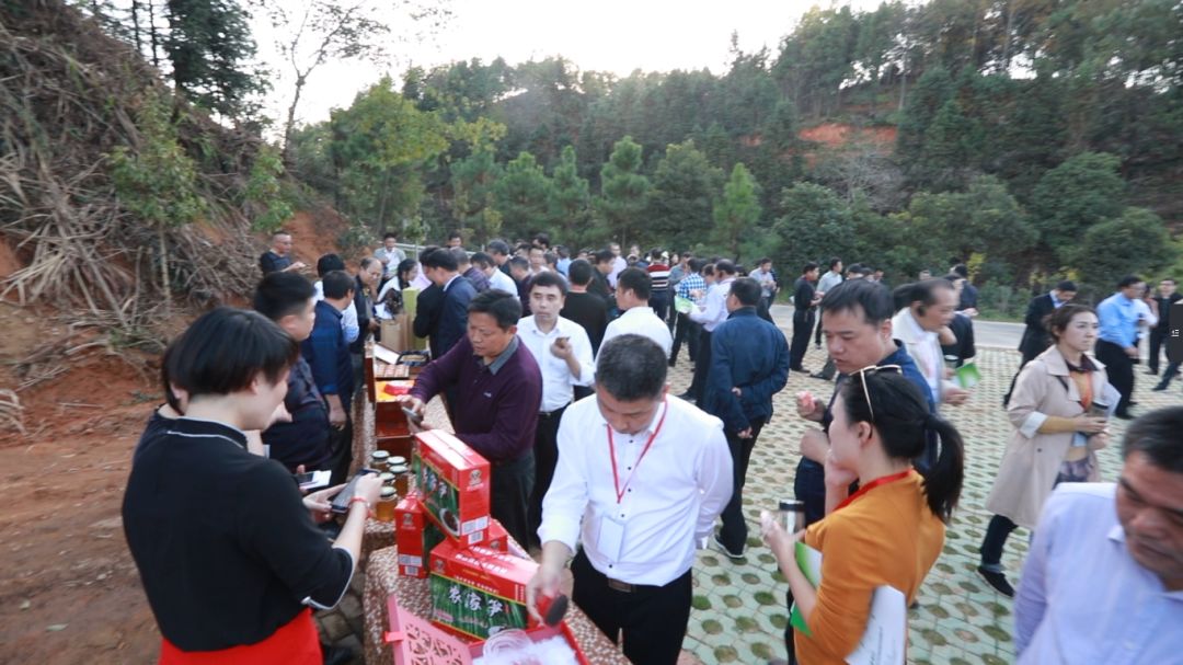 江西黎川宏村镇有多少人口_江西黎川景点图片