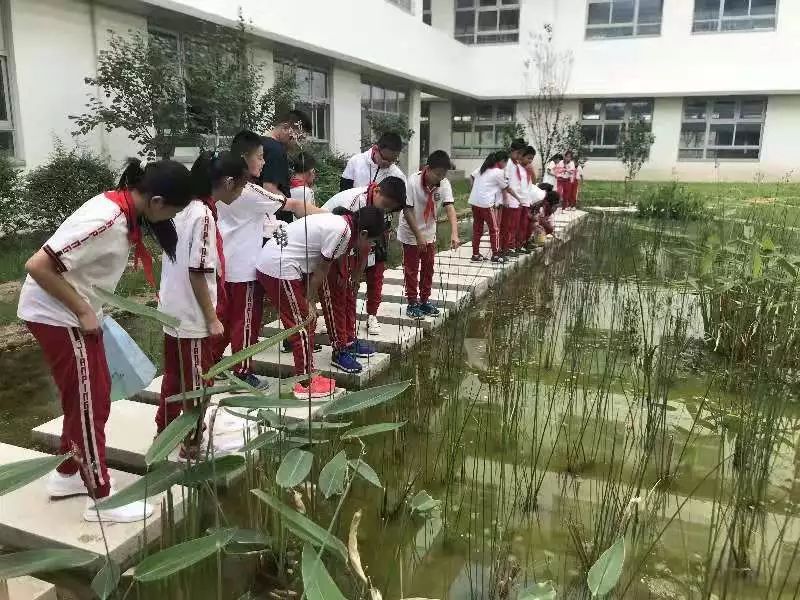 每一寸土地都应该播种建平实验张江校区校园生活风景谈三