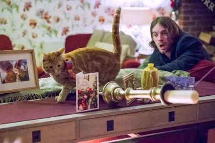 【觀影福利第一彈】一人一貓走倫敦 電影《流浪貓鮑勃》吸貓暖心電影11月2日治愈來襲~