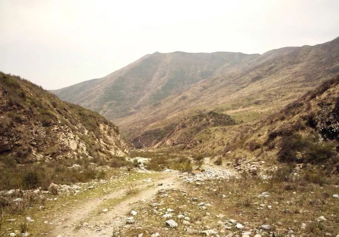 以前青海高寒干旱,处处都是荒山野岭.