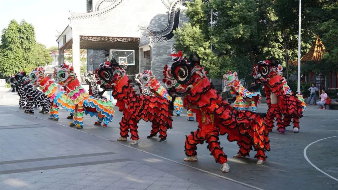 张槎街道传统醒狮联队再次亮相佛山秋色巡游精彩提前看