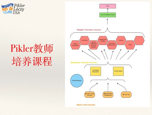 pikler教育的前世今生