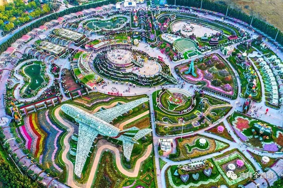 迪拜奇迹花园今天开园了,赶紧一睹为快世界最大花园新特色