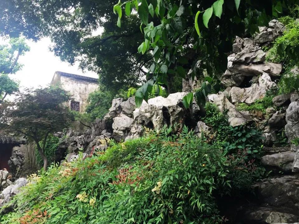 倪熊几度风雨几度春秋飘飘摇摇说艺圃图说