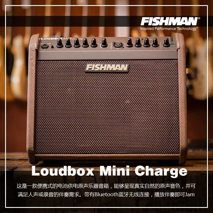 能连蓝牙，能充电! Fishman Loudbox Mini Charge便携式原声音箱_手机搜狐网