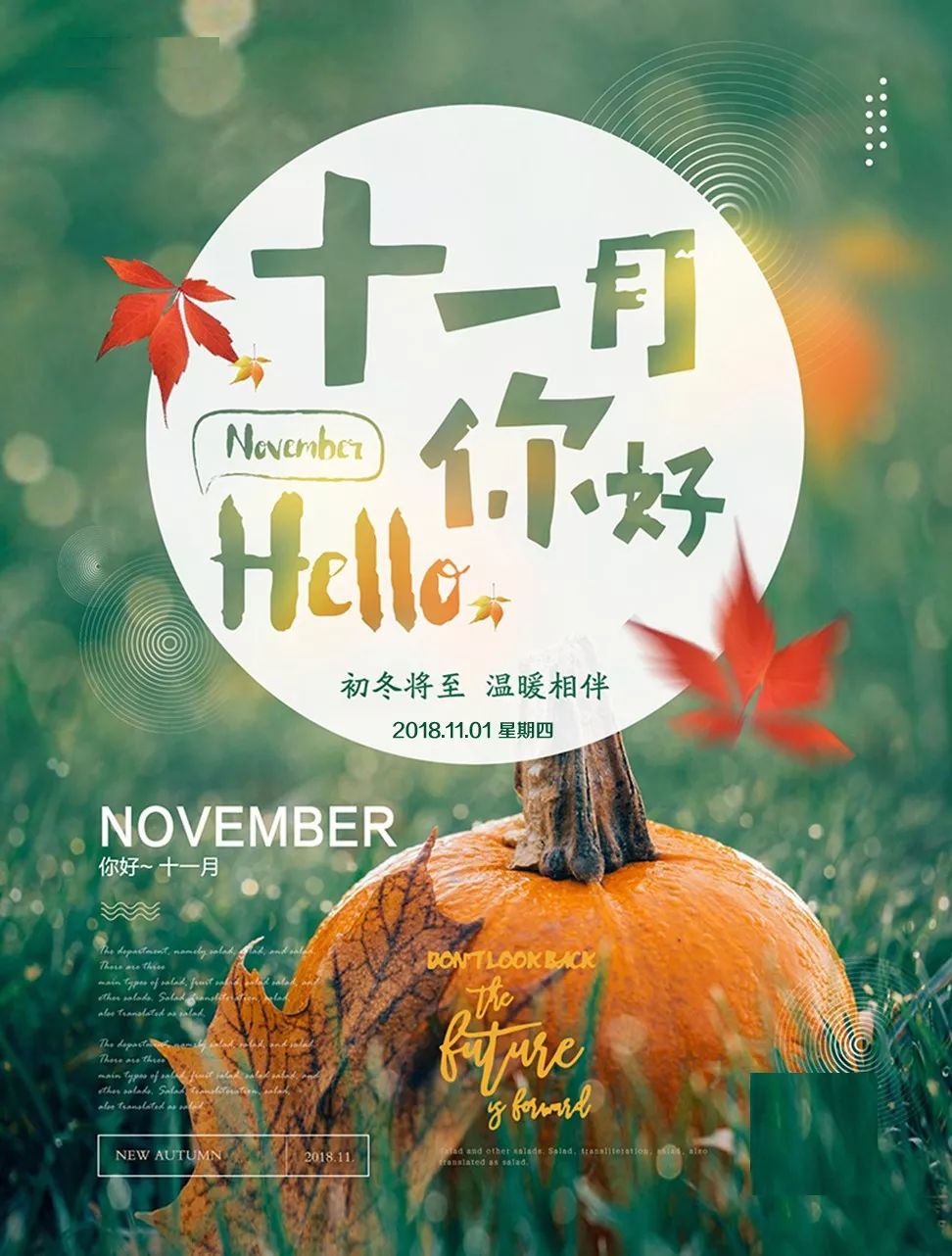 11月早安心语正能量语句 十一月早上好图片正能量大全