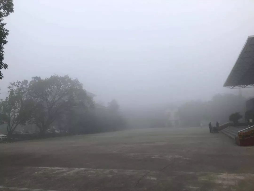 最近遂宁大雾天气频发,这些事情你得注意!