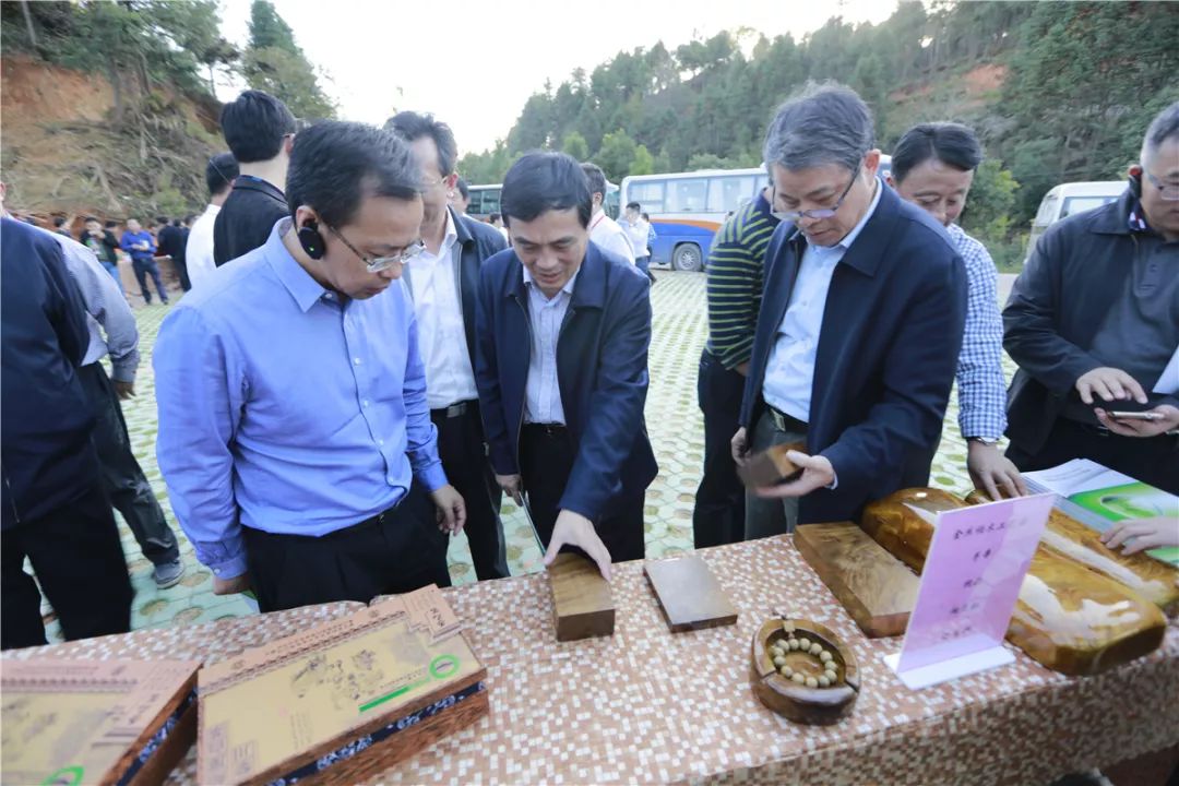 江西黎川宏村镇有多少人口_江西黎川景点图片