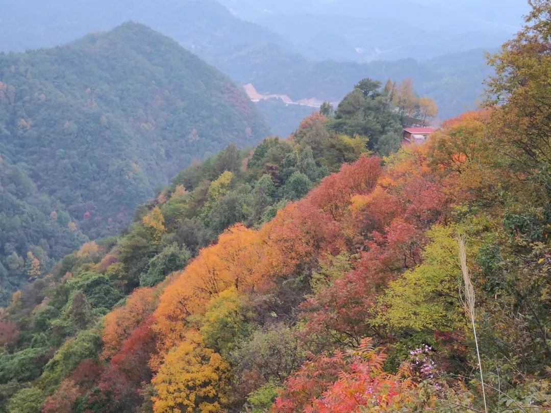 小编又来向大家推荐旅游路线 天峡的秋季,美哭你 天峡风景区位于岳西