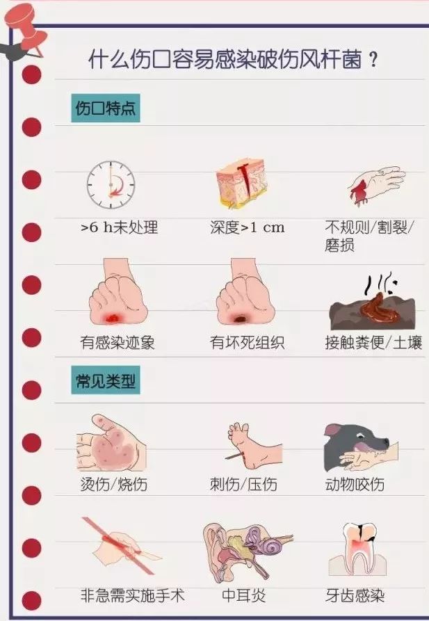 知识链接破伤风你必须要知道的事儿